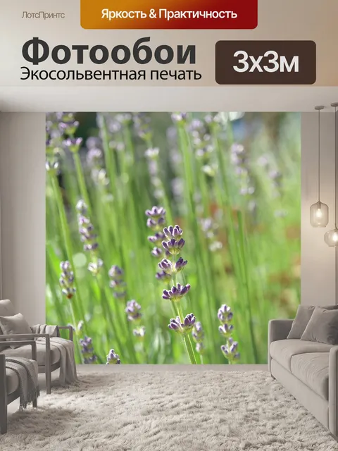 Фотообои Лаванда