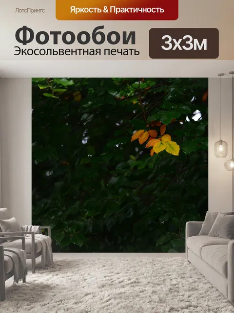 Фотообои Лист
