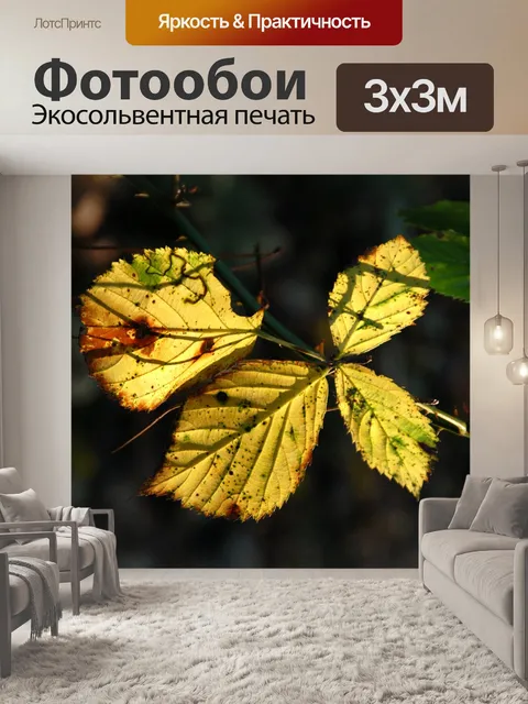 Фотообои Лист