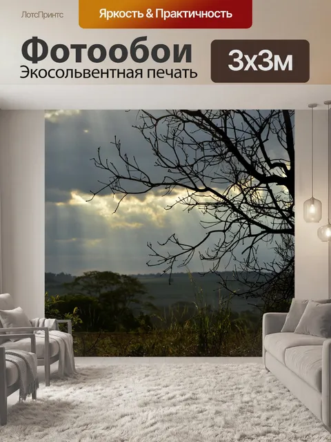 Фотообои Закат