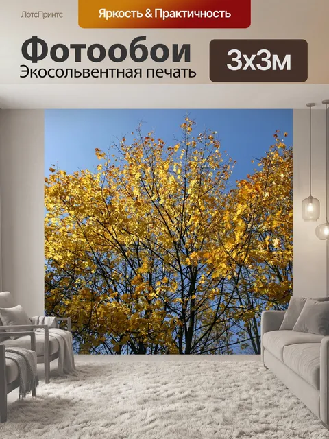 Фотообои Парк