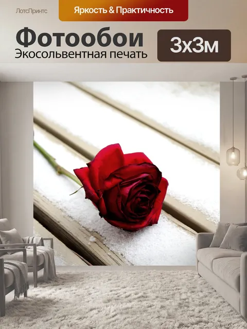 Фотообои Роза