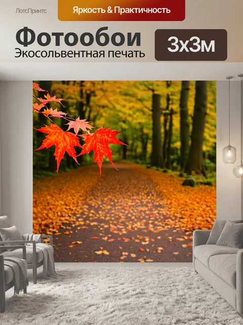 Фотообои красные листья кленов, падающие на тропу в осеннем лесу