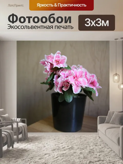 Фотообои Цветы