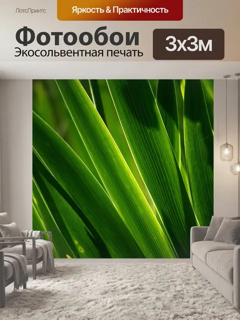 Фотообои Листья