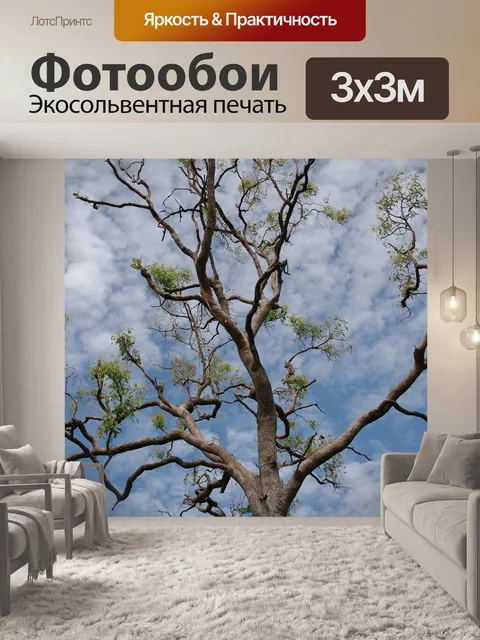 Фотообои Деревья
