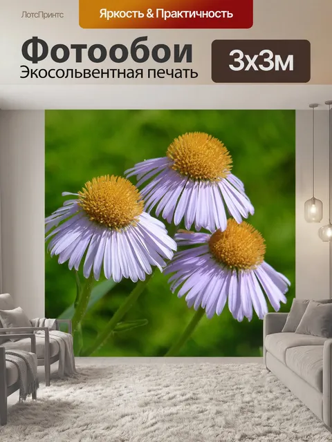 Фотообои Сад
