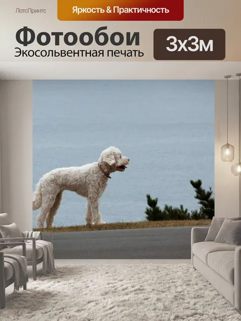 Фотообои Собака