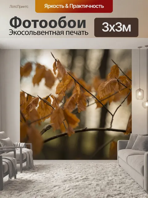 Фотообои Сухие листья