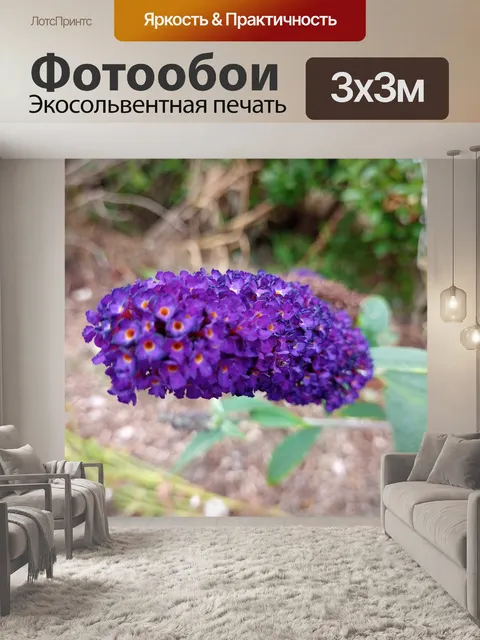 Фотообои Огонь безвестности