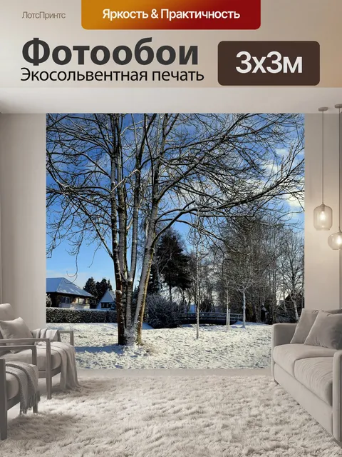 Фотообои Зима