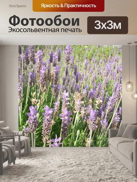 Фотообои Лаванда поля