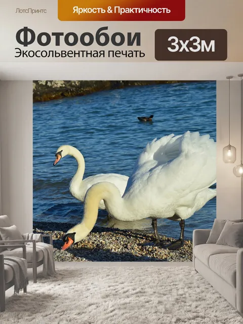 Фотообои Лебеди