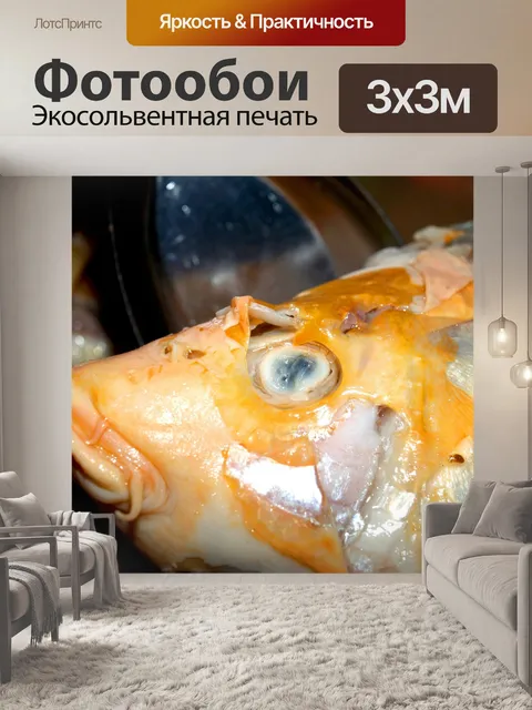 Фотообои Пресноводная рыба фото