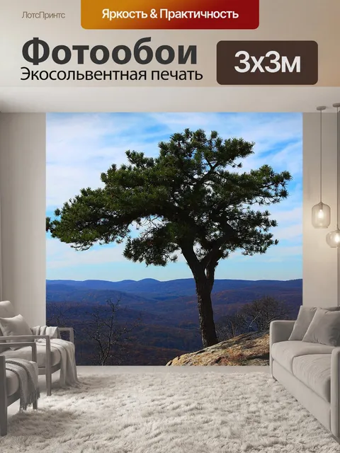 Фотообои Камень