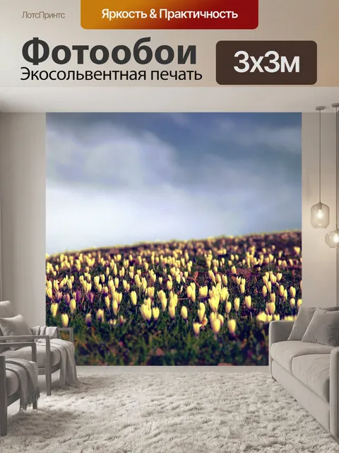 Фотообои Крокус