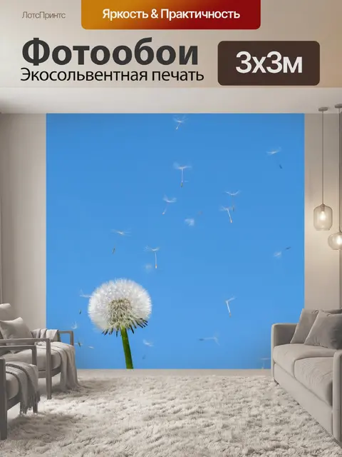 Фотообои Одуванчик