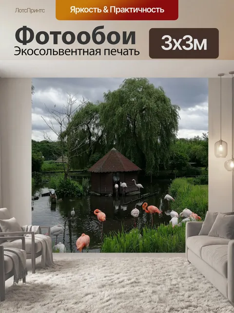 Фотообои Фламинго