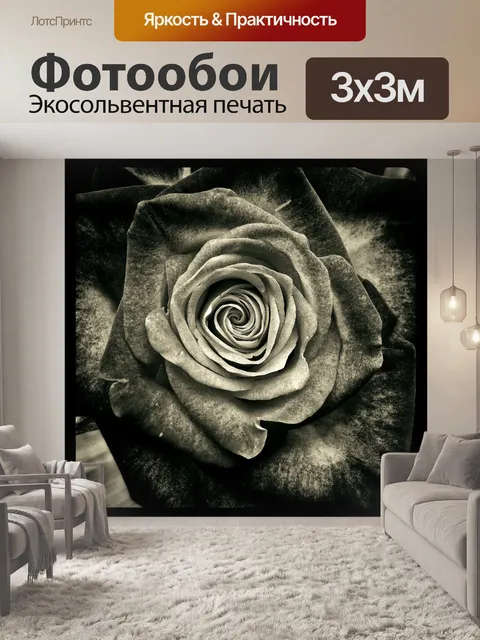 Фотообои Роза