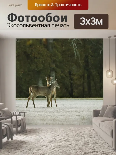 Фотообои Два олененка в морозном поле