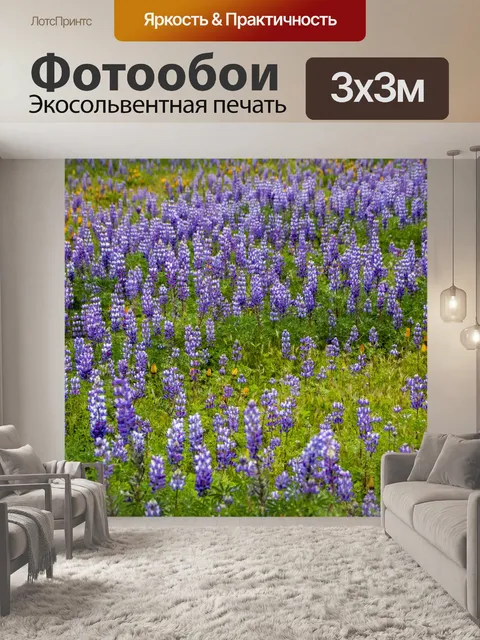 Фотообои Фиолетовые полевые цветы