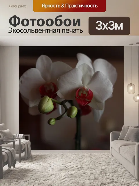 Фотообои Цветок