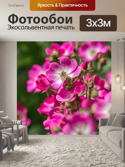 Фотообои Розы