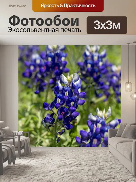 Фотообои Цветы