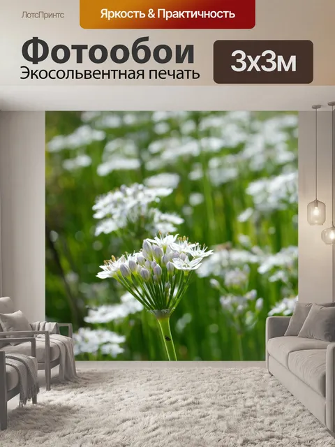 Фотообои Цветы