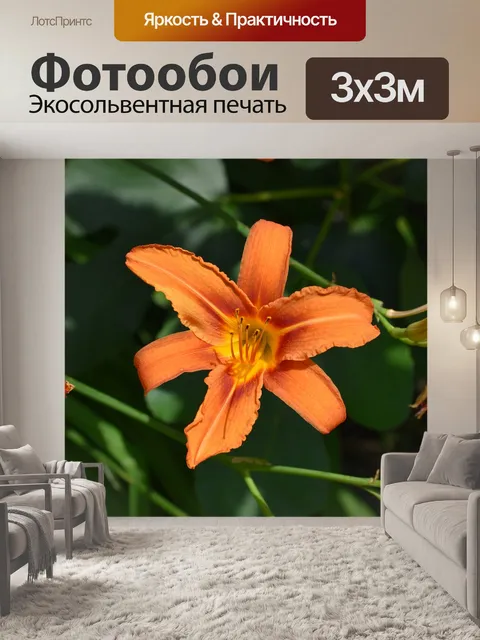 Фотообои Цветы