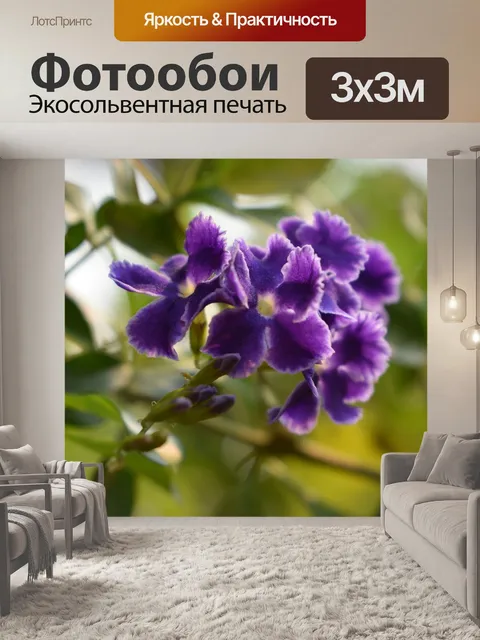 Фотообои Цветы