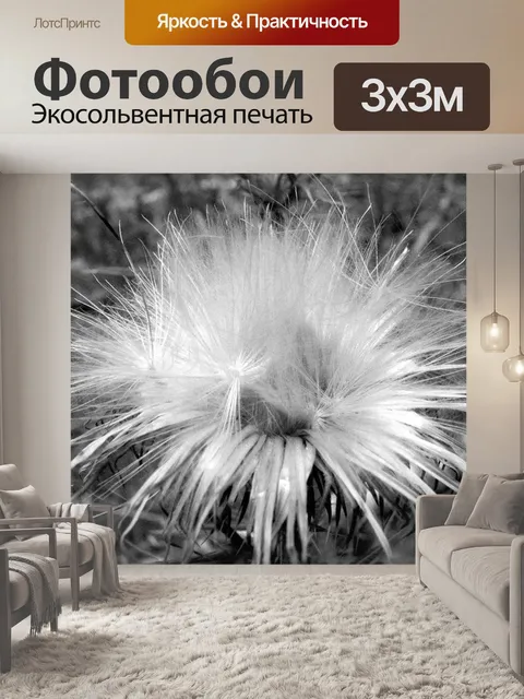 Фотообои Черно-белый