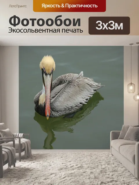 Фотообои Пеликан