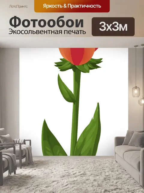 Фотообои Тюльпаны
