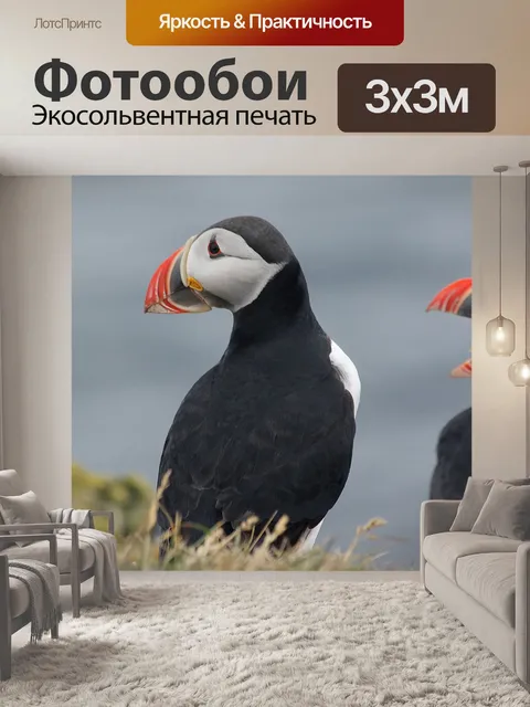 Фотообои Тупики