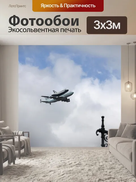 Фотообои Последний полет
