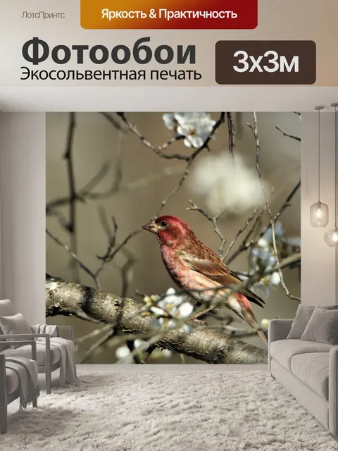 Фотообои Фиолетовый дом Финч в цвету деревьев