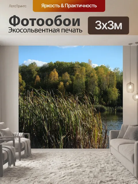 Фотообои Осенние краски у озера