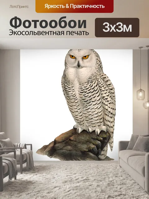 Фотообои Снежная сова птица винтаж