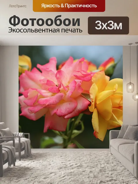 Фотообои Розы
