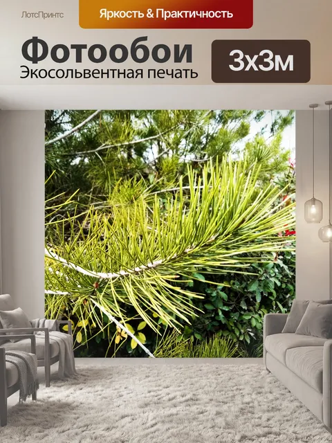 Фотообои Сосновые иглы