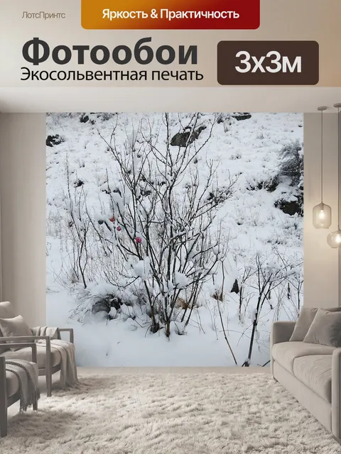 Фотообои Зима