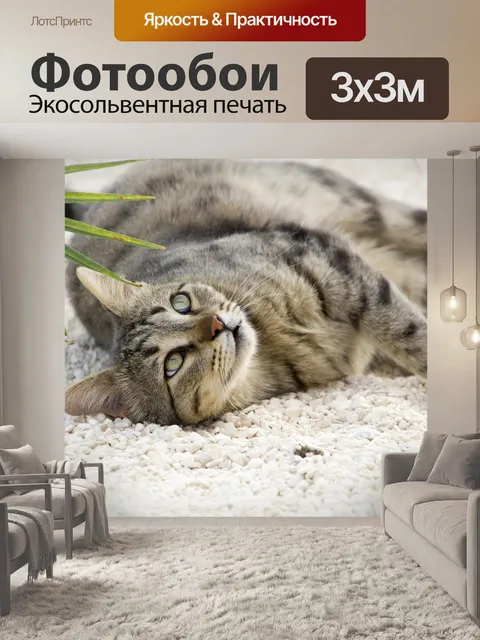Фотообои Кошка