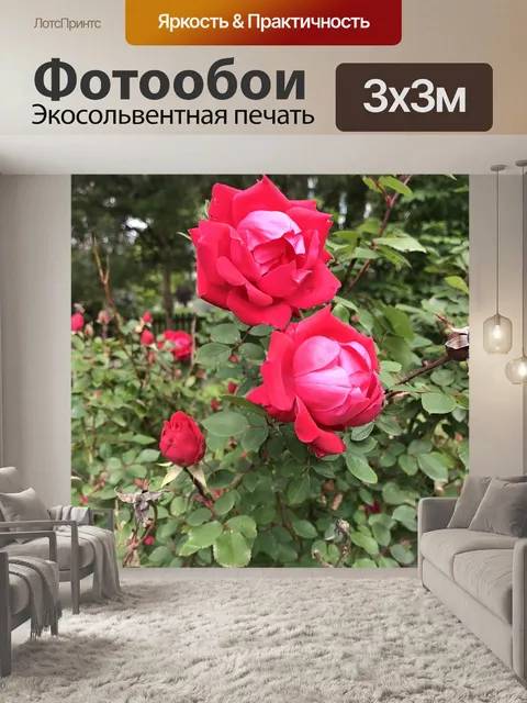 Фотообои Розы