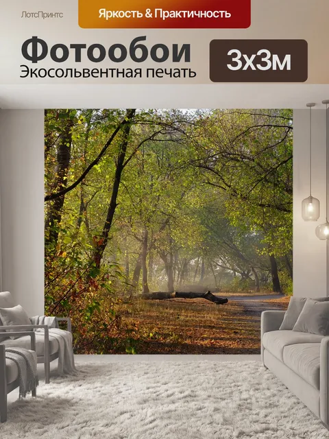 Фотообои Лес