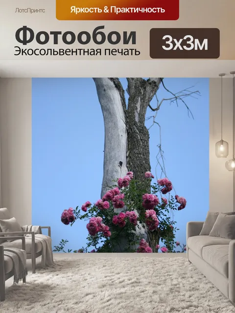 Фотообои бессвязных выросли на дереве ствола опор
