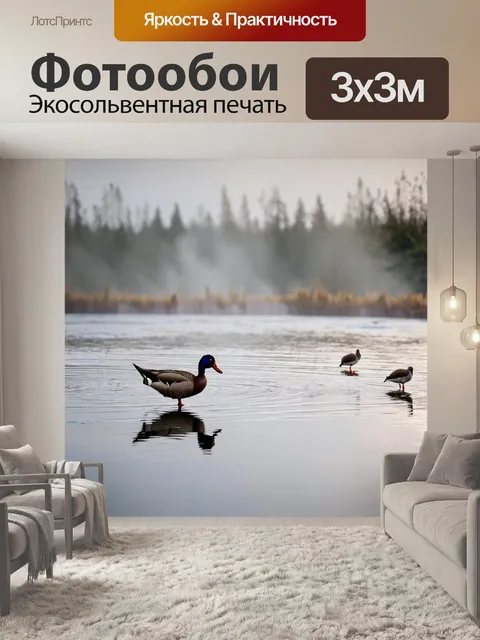 Фотообои охота: вода, покрытая утренним туманом, с горячими источниками, где маленькие водоплавающие птицы клюют в…