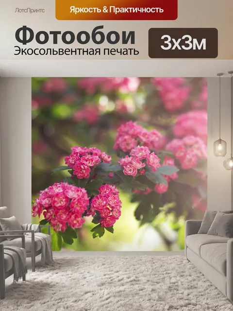 Фотообои Цветы