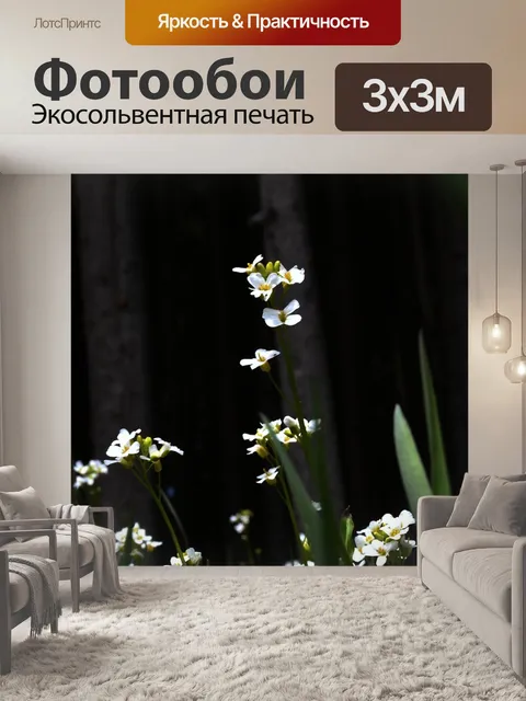 Фотообои Цветы