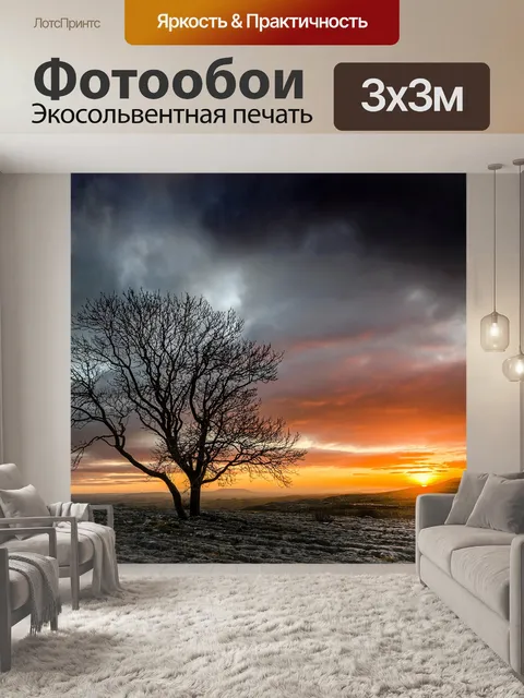 Фотообои Зимний силуэт на закате